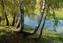 Herbst / http://www.youtube.com/watch?v=EdNF9U-9l4A&feature=related