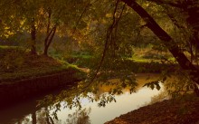 Unter dem Schatten ... / ************************