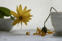 Lebewohl / .................