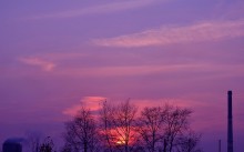 Rosa Sonnenuntergang / *****