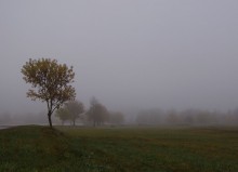 Im Nebel / ,,,,,,,,,,,,,,,,,,,,,,,,,,,,