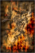 Aggressive Gedanken / ***