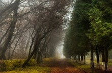 Und in den alten Park im Herbst herrscht ... / ***