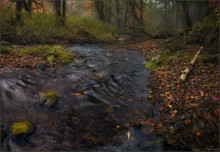 / Der Atem des Herbstes / / ***