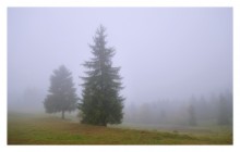 Wenn die Wolken kommen von den Bergen herunter / ***