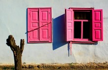 Y pink / ***
