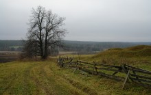 Bedeckt Herbst / ***