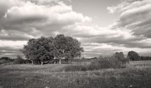 Der Himmel runzelt die Stirn / ________________*