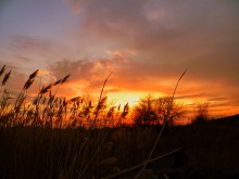 Heavenly Feuer / ***
