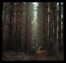 Autumn Stille * / ///////////