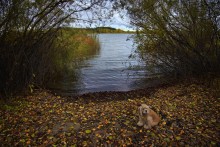 Betrauern den Sommer / ***