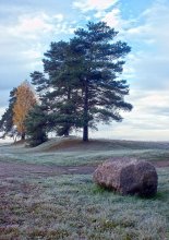 Herbst / .................................