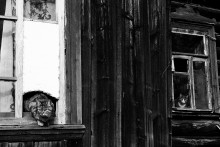 Nachbarn. / ***