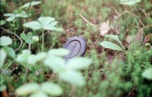 Zenit / ***