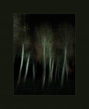 Nacht im Park / *******
