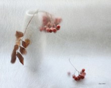 geisterhaften alle .... / ***