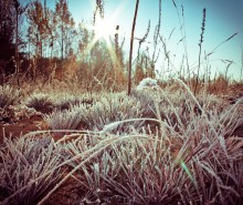 Der Beginn des Winters! / ***