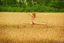 Flug / ***