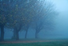 Der Beginn einer Horror-Film / ***