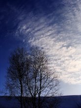 blau / *********