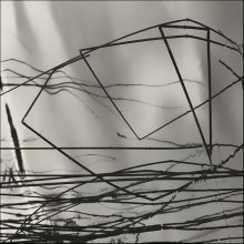Rhythms / ***