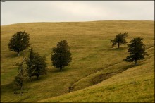 Polonyna / ***