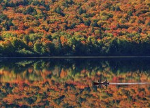 Schwimmen im Herbst / -----