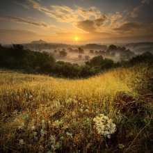 Frühmorgens / ******