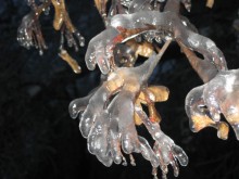 Winter 2011 / ***
