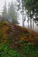 Herbst-Skizzen / ***