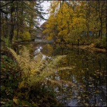 Herbst / ***