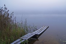 See im Nebel / ,,,,,,,,,,,,,,,,