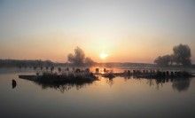 Chilly nebligen Morgen / ***