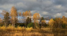 Goldener Herbst / ***