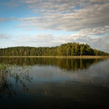 DSC_7223 / ***