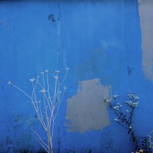 Die Farben des Himmels / ***
