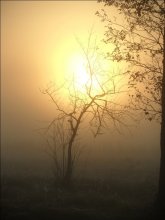 Sonnenaufgang / ***************