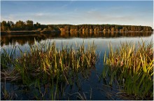 Der Herbstmorgen (2) / *****