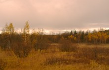 Autumn Thema / ****************