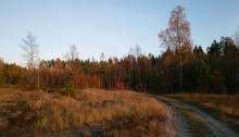 Im Herbst Wald / _____________________*