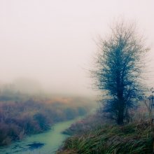 Widerhaken / ______