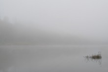 Milk River / ***
