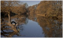 Fluss / *****