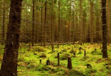 Die alte Protokollierung ... / ******************