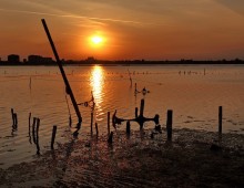 Sonnenuntergang / ***
