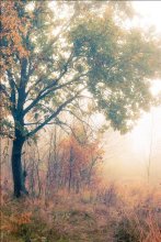 Der Beginn des Herbstes / ***