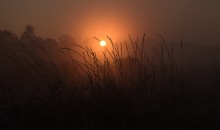 Morgendämmerung / ***