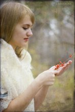 Rote Beeren / *******