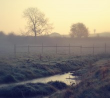 Morgen / --------