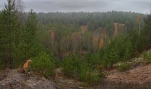 In der Schlucht / ***